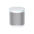 Xiaomi Smart Speaker