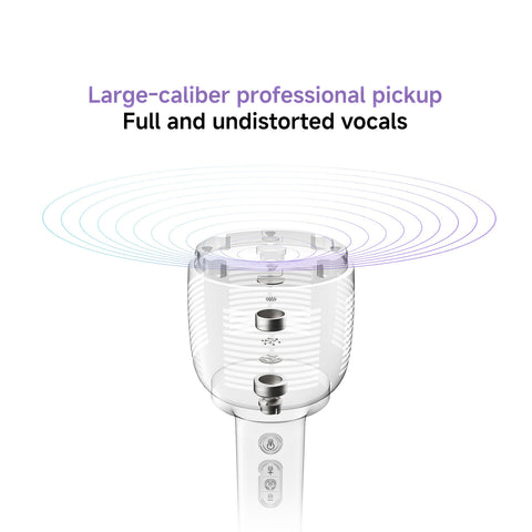 Xiaomi Karaoke Microphone