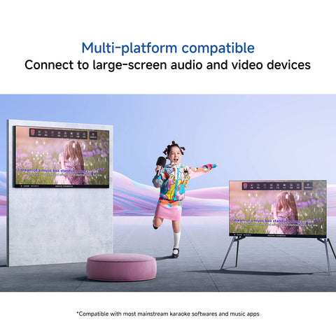 Xiaomi Karaoke Microphone