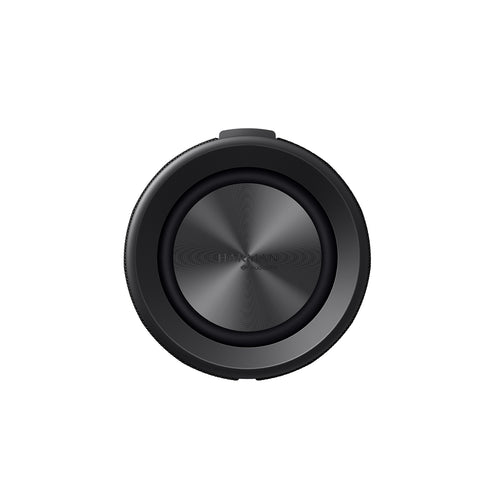 Xiaomi Bluetooth Speaker