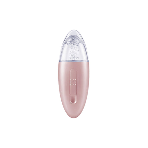 Lady Bei Portable Facial Mist Spray