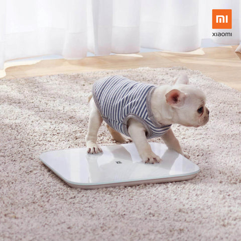 Xiaomi Smart Scale 2