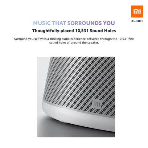 Xiaomi Smart Speaker