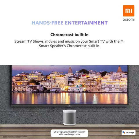Xiaomi Smart Speaker